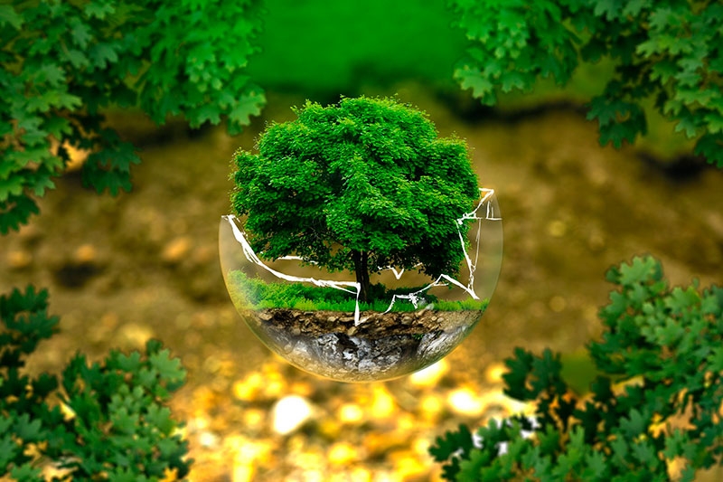 impact-activite-humaine-environnement