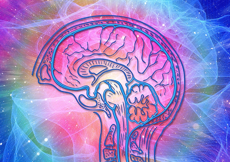 comprendre-vieillissement-cerveau-conference